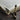 Platinum #3776 Century Celluloid Fountain Pen - Calico